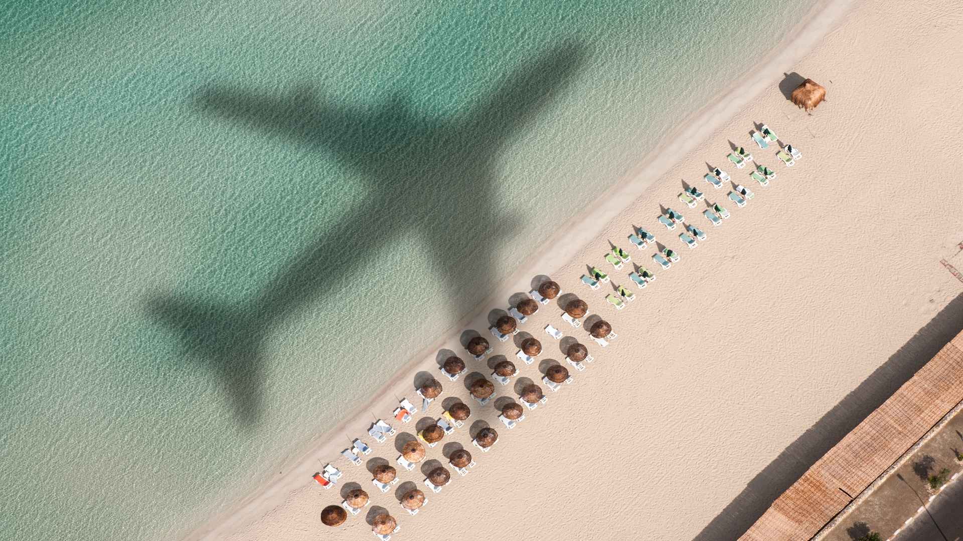 image of the shadow of a plane running along a beach